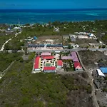 Blooming Zanzibar