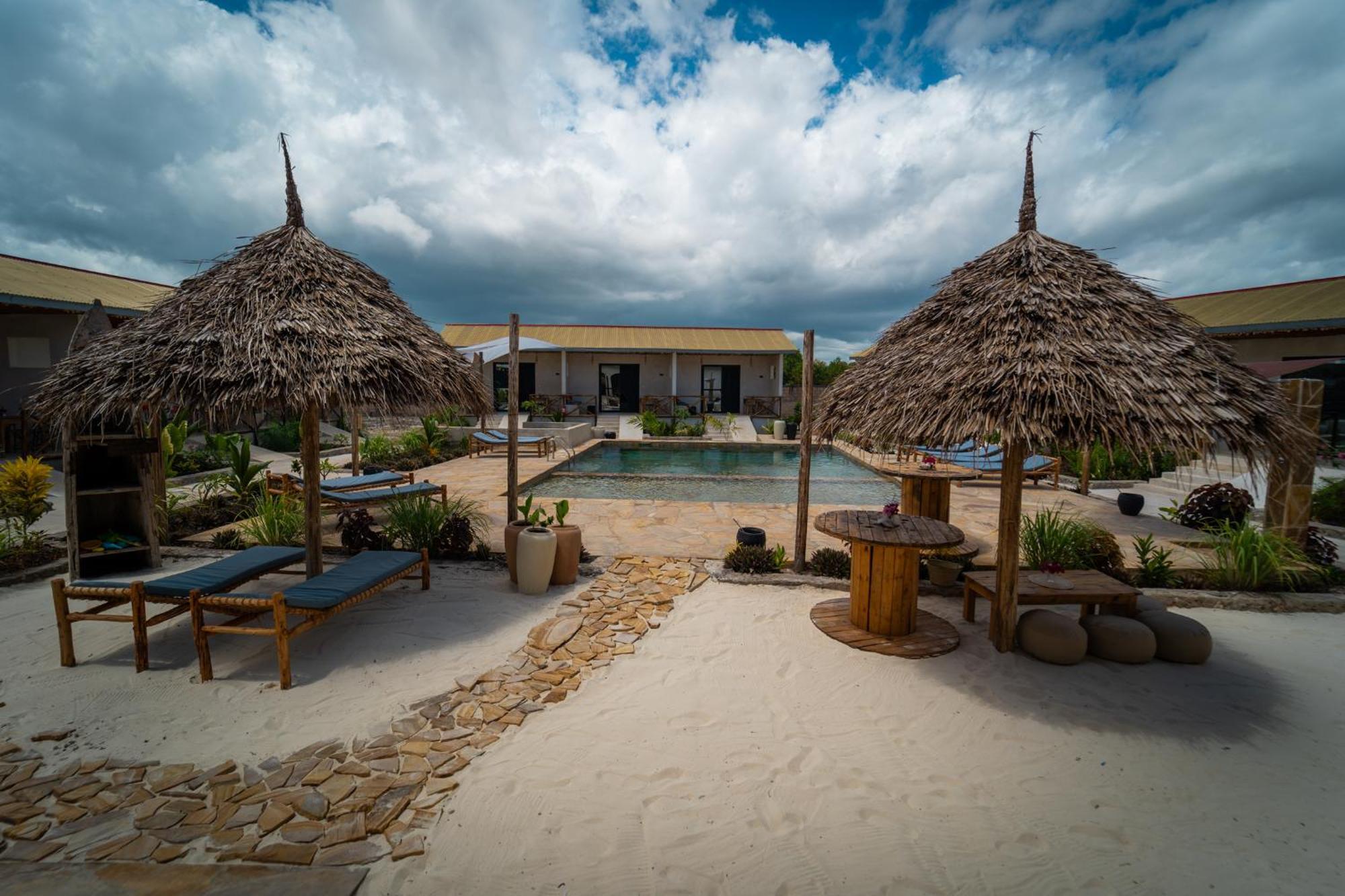 Blooming Zanzibar *