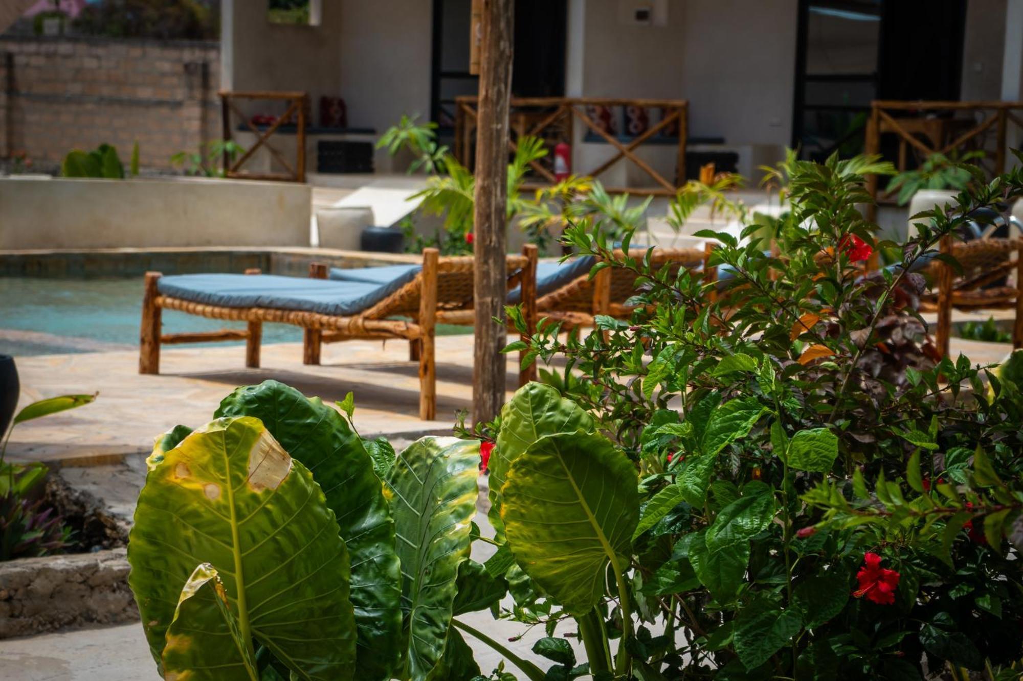 Blooming Zanzibar Hotel *